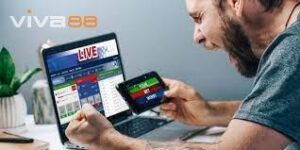 Những lời khuyên bổ ích khi lựa chọn căn 2 trái viva88